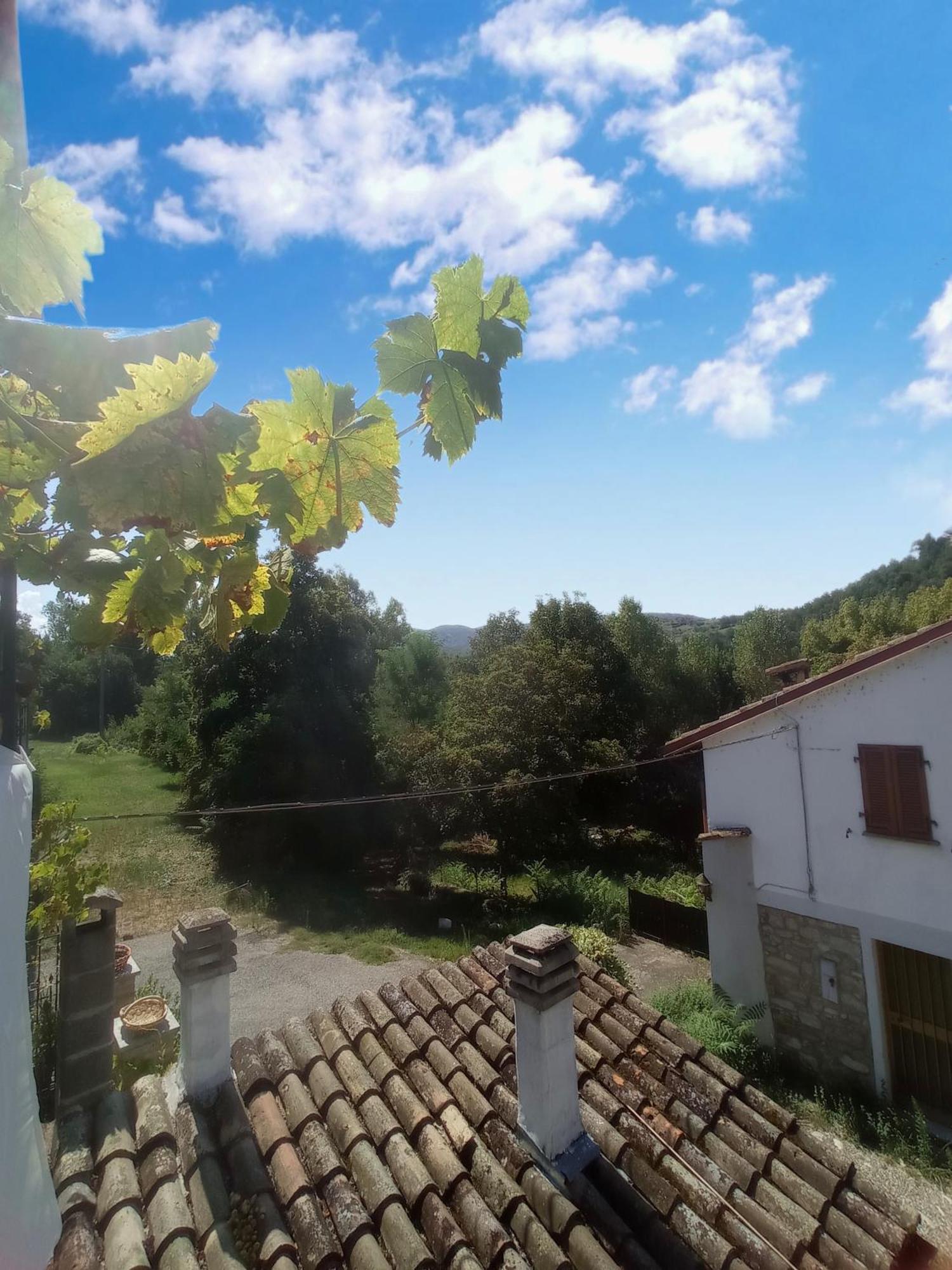 Dulcius Ex Asperis Bed & Breakfast Ponte Nizza 외부 사진